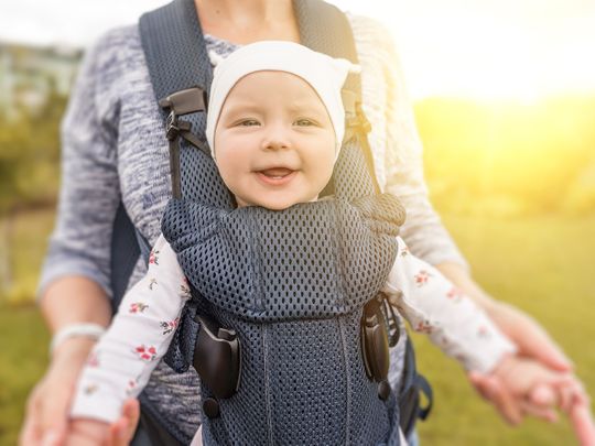 baby carrier