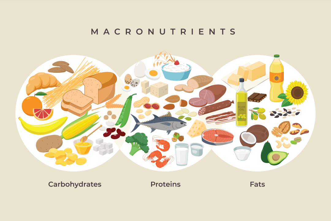 macronutrients